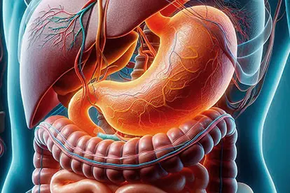 Gastrointestinal - detoxification, healthy-intestinal-flora - Zeolite Knowledge
