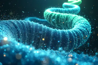 Gut Overview – Key, Organ, Health – Zeolite Knowledge Gut Overview - Key, Organ, Health - Zeolite Knowledge