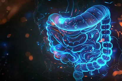 Gut - Wall-Barrier - Leaky-Gut - Inflammation - Zeolite Knowledge