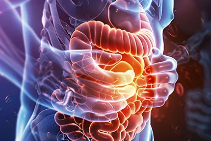 Intestinal diseases – IBS – Leaky-Gut – Colorectal – Cancer – Zeolite Knowledge Intestinal diseases - IBS - Leaky-Gut - Colorectal - Cancer - Zeolite Knowledge