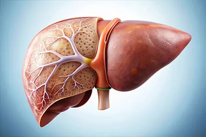 Liver - Detoxification - Zeolite Knowledge