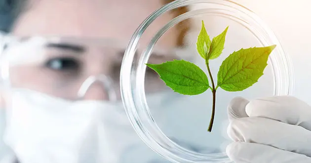 Zeolites – Modern world – Agriculture Medicine – Technology – Environment Zeolites - Modern world - Agriculture Medicine - Technology - Environment