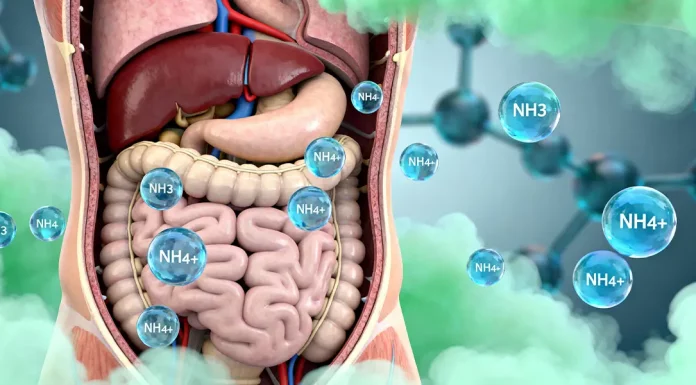 Ammonia and ammonium - zeolite in the gut as filter