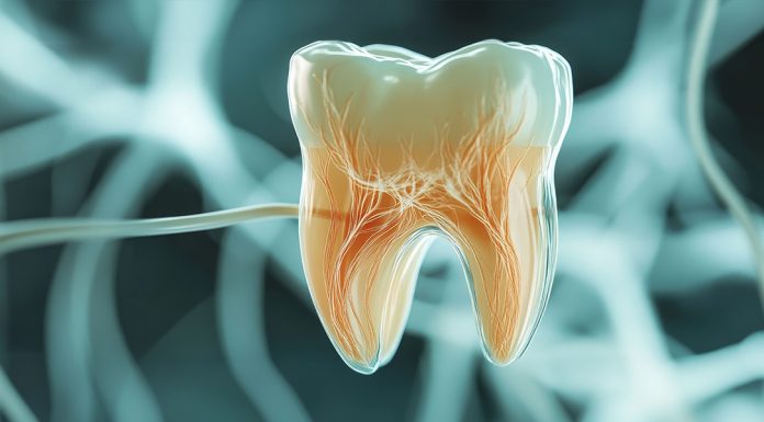 Dental periodontitis - chronical inflammation - interview - dentist - Dr. Hans Krehn