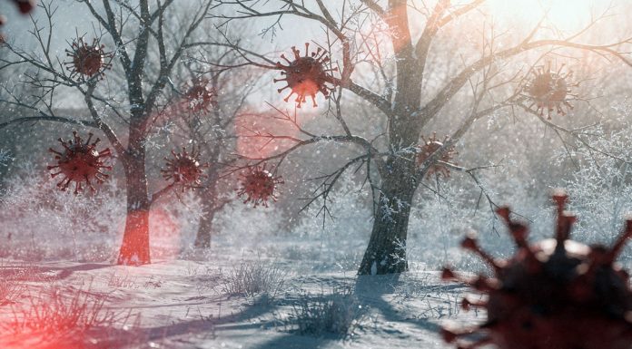 Immune system, cold, gut, and microbiome