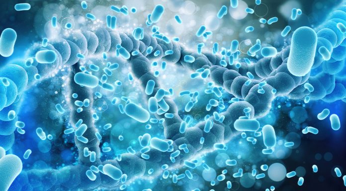 Mikrobiom-Test - Interview - Dr. Paul Hammer - BIOMES