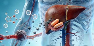 Fettleber auf dem Vormarsch: Lancet-Studie warnt vor 2 Milliarden Betroffenen bis 2050 Warum unsere Leber zunehmend überfordert ist