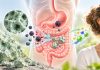 Zeolite Releases Aluminum and Leads to Nutrient Depletion: What's the Truth Behind the Most Persistent Myths About Zeolite?