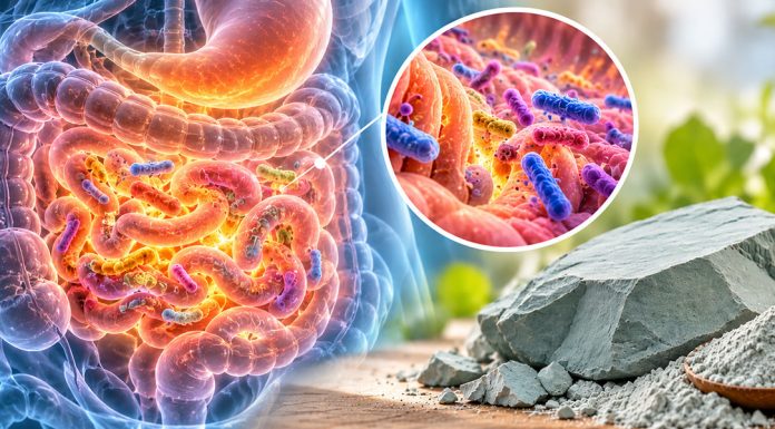 SIBO - Small Intestinal Bacterial Overgrowth - update